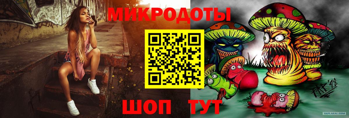 Галлюциногенные грибы Psilocybine cubensis Братск