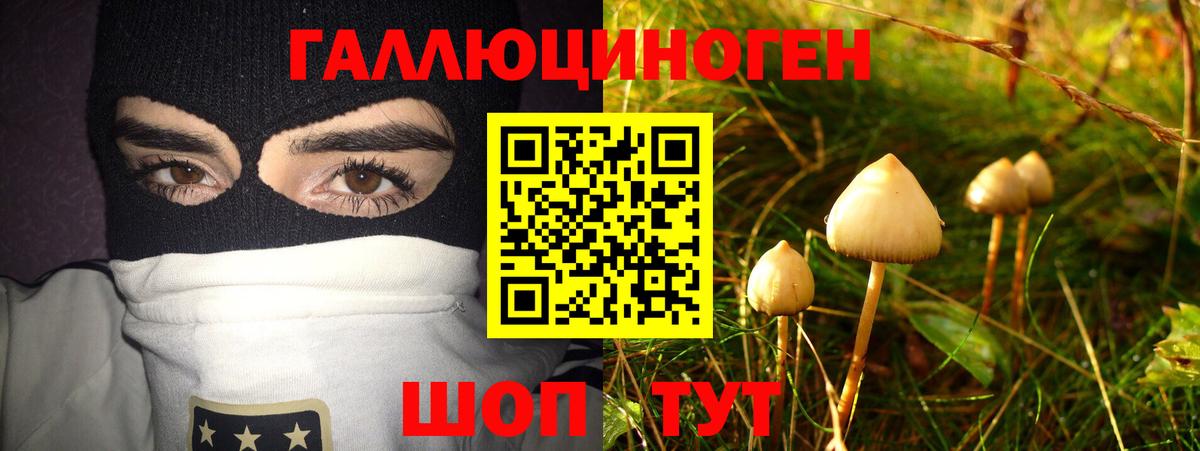 Братск  Галлюциногенные грибы ЛСД  Вход с VPN  Псилоцибиновые грибы ЛСД 